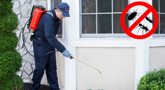 Karakeçili Gümüşkurt İlaçlama böcek ilaçlama ve haşere kontrolü — ilaclama-tr.com